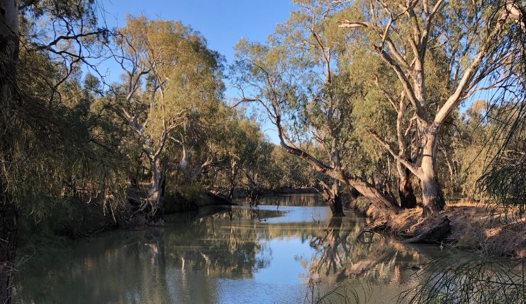 A river surrounded by trees and bushland