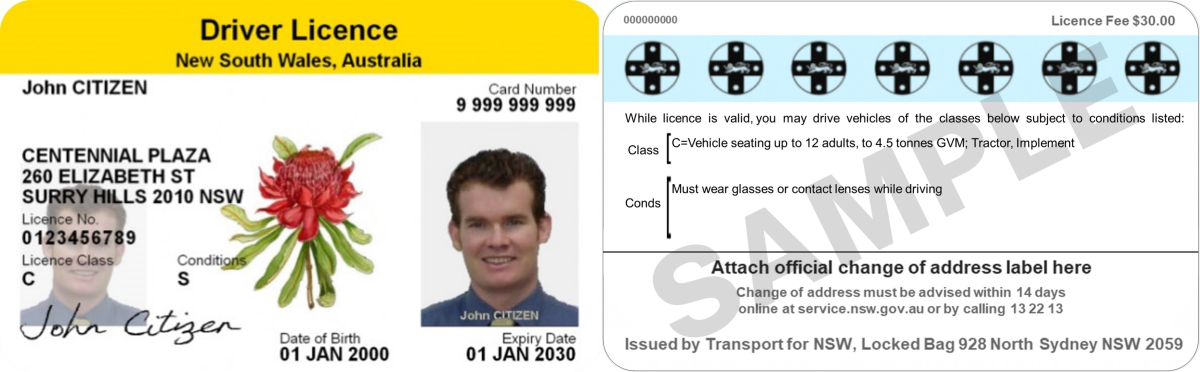 Sample driver licence with conditions - front and back