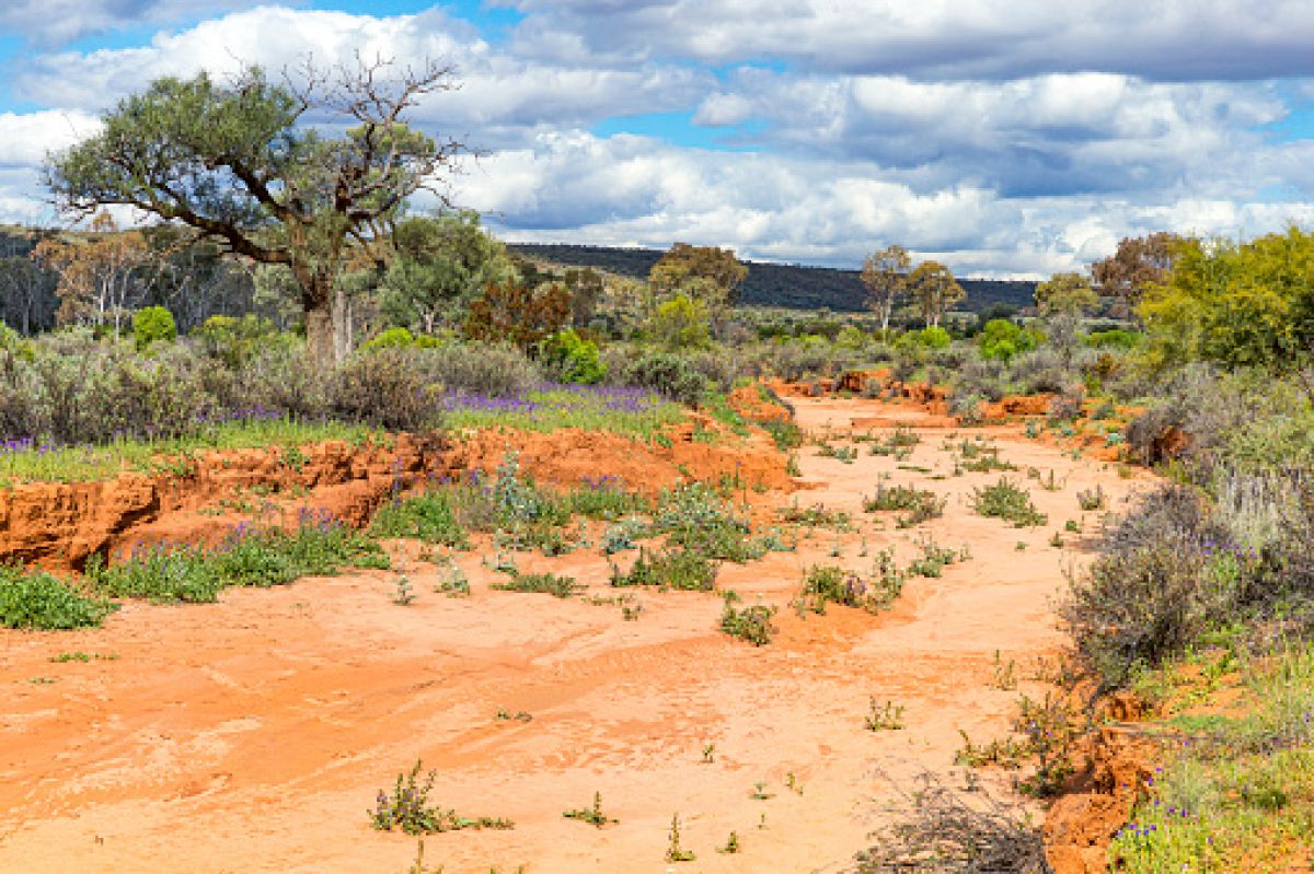 Dry river bed at Mutawintji National Park