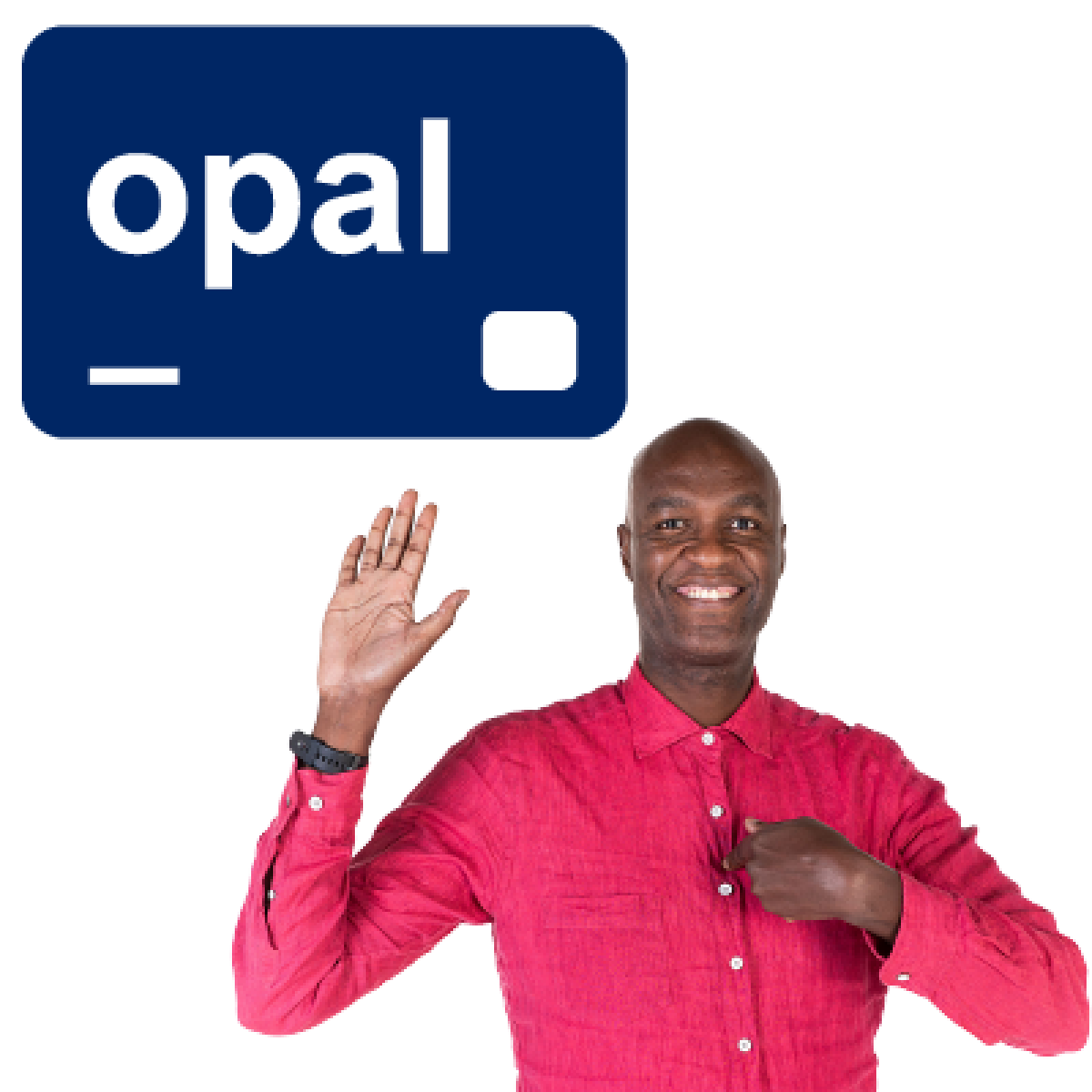 An Opal card for an adult