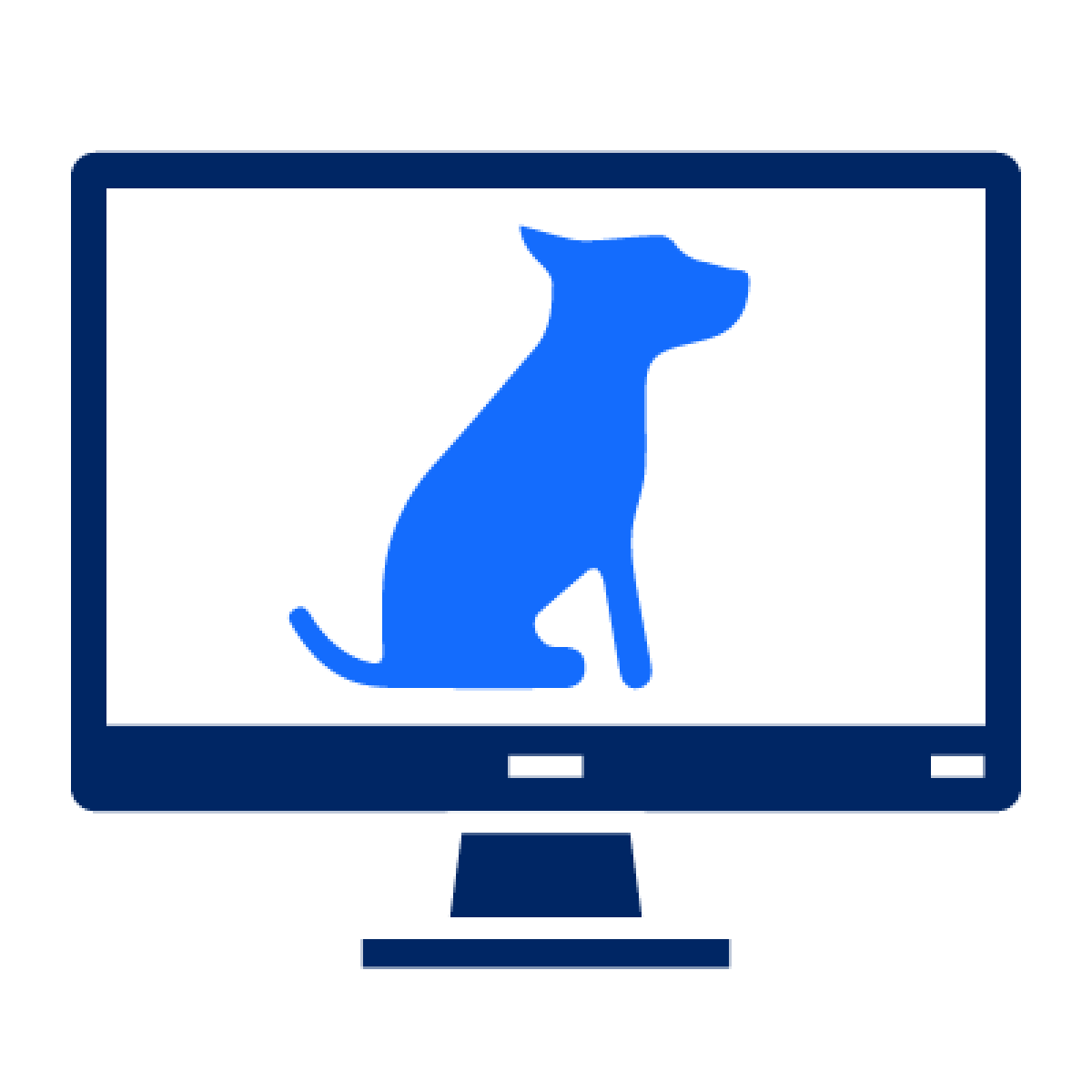 A dog pictured on a computer screen