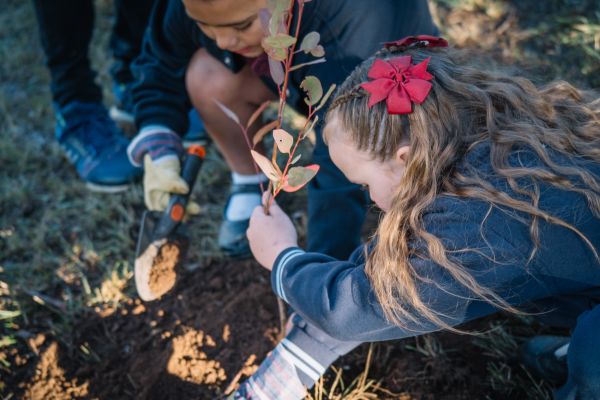 Kids planting trees