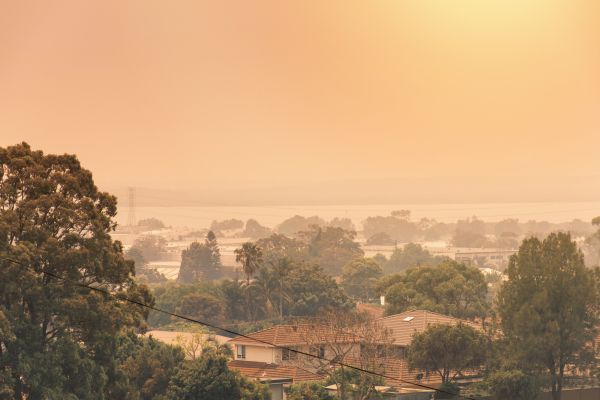 Suburb in a haze from bushfire smoke.