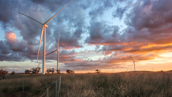 a picture of a wind farm at sunset