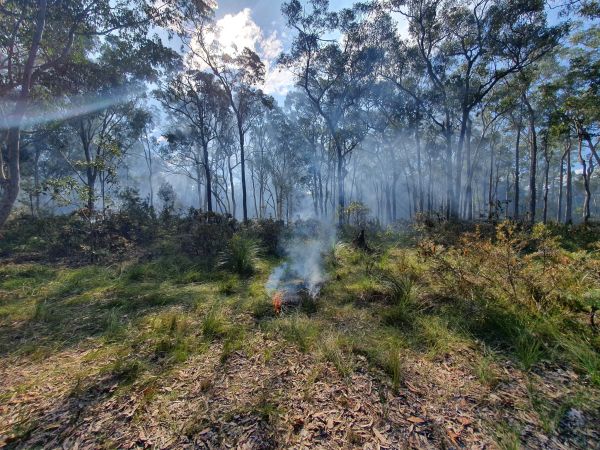 Traditional burning by Biraban Local Aboriginal Land Council