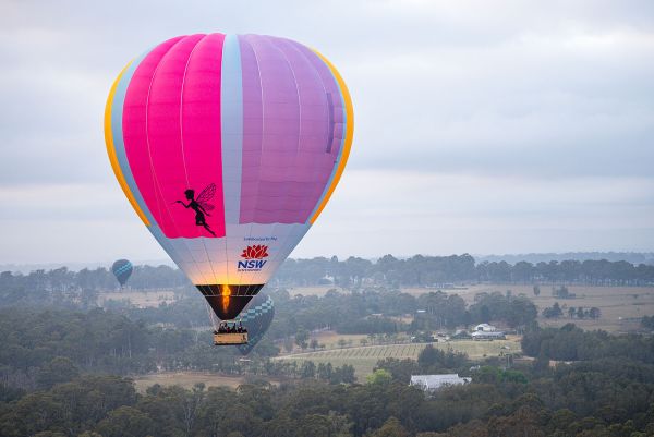 A hot air ballon with pink, purple, blue and yellow on the panels flies in the sky on a clody gray day. There are lots of trees and open fields beneath the balloon