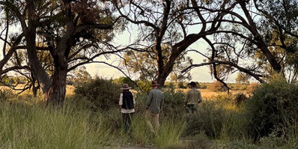 Stakeholders walking through long grass and scrub