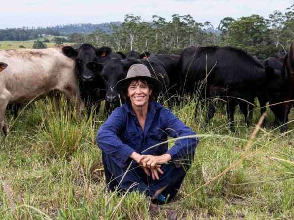 A woman wearing a blue shirt and farmer hat sits in the grass in front of black and white cows.