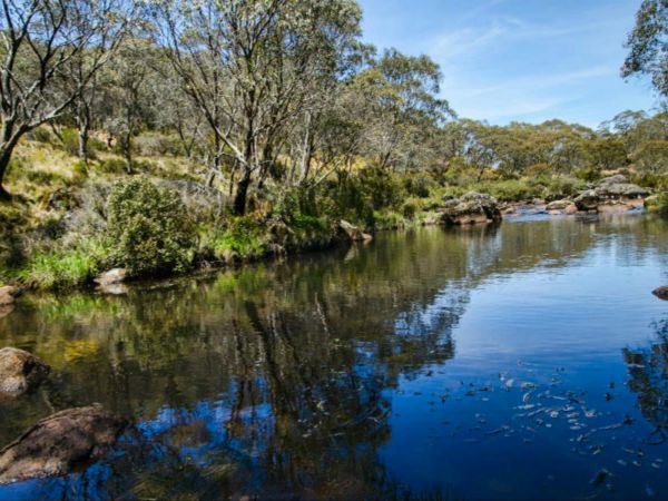 Aeroplane Hill walking track | NSW Government