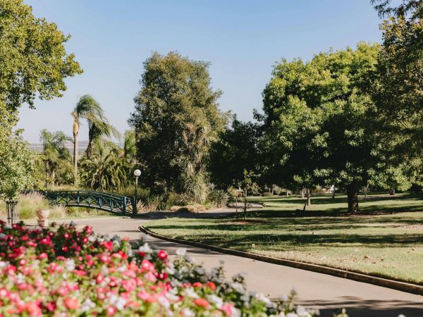 View of the botanic gardens full of lush trees and a footpaths