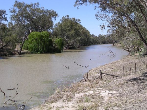 fishing-the-barwon-river-nsw-government