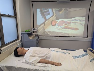 WNSWLHD simulation training tool for nurses, CREST-Sim