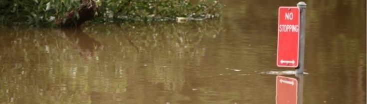 Flooded area with no stopping sign