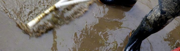 Cleanup after floods