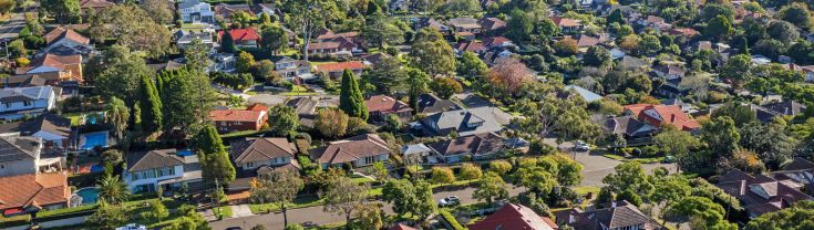 Houses in leafy suburb