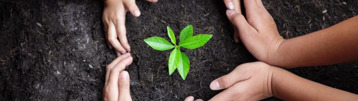 Children's hands around a tree 