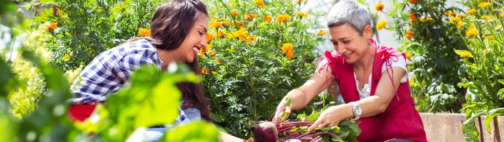 two ladies in gardening in a vegetable patch 