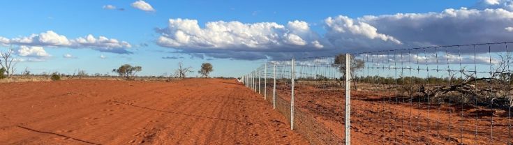 A landscape shot of the wild dog fence