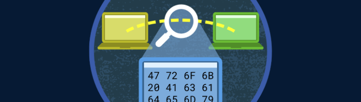 network monitoring image