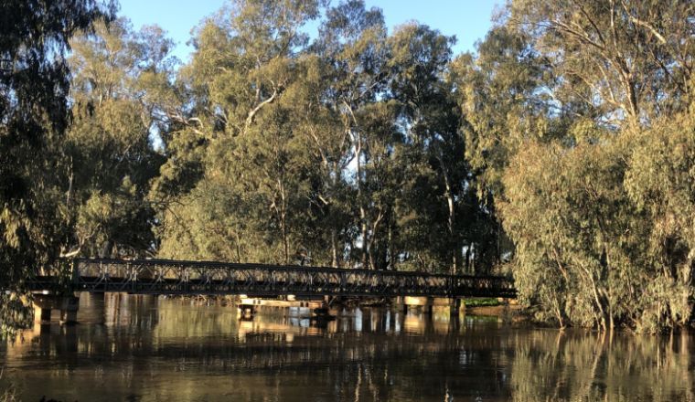 A view of the Lachlan River in NSW