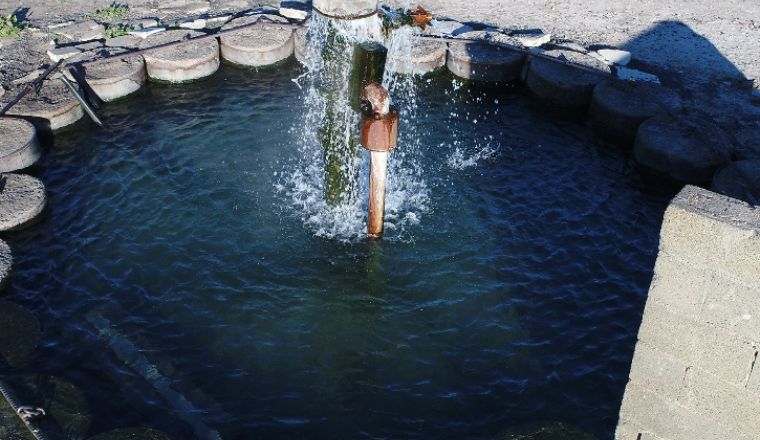 Water drainage in a pond