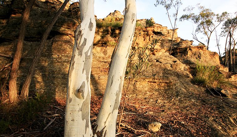 Gardens of Stone National Park