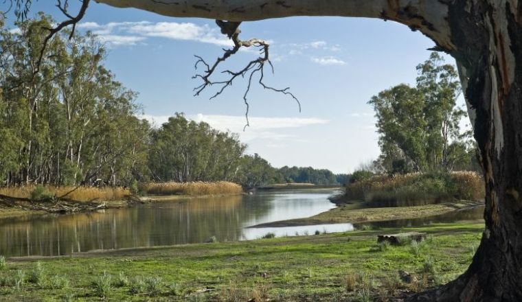 A front on view of the Murray River in NSW Australia