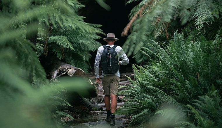 Wollemi National Park