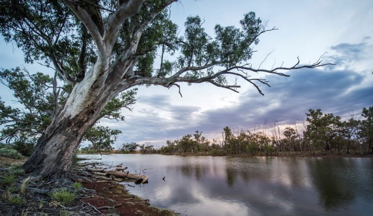 River sunset, mid Murray River