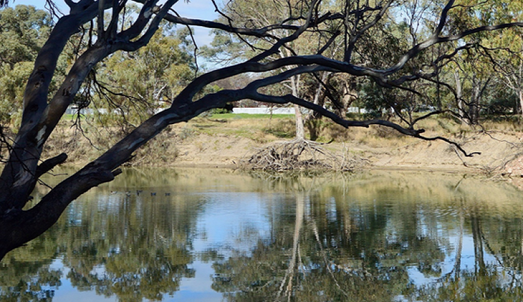 Murrumbidgee