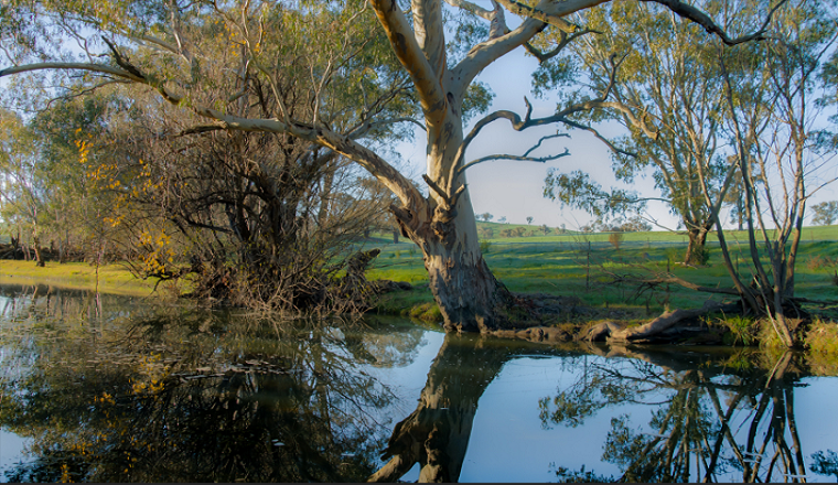 Belubula Regulated River