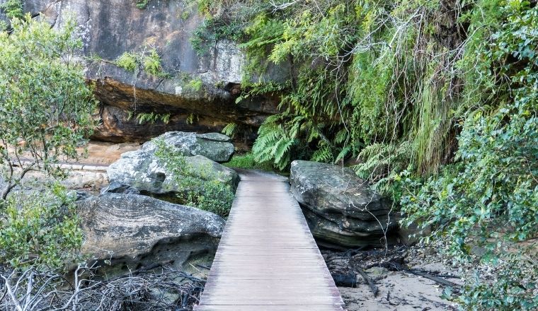 Manly to Spit Bridge Walk.