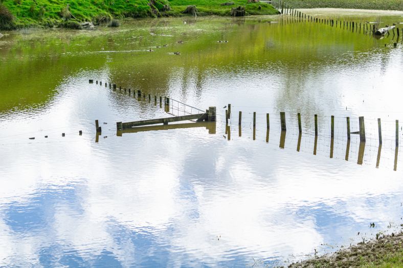 Flooded farm