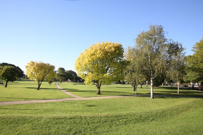 Image of Armidale Curtis Park