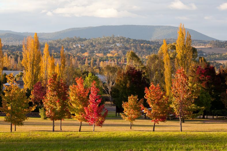 Image of Armidale landscape