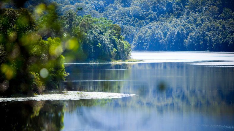 Image of Lismore Rocky Creek