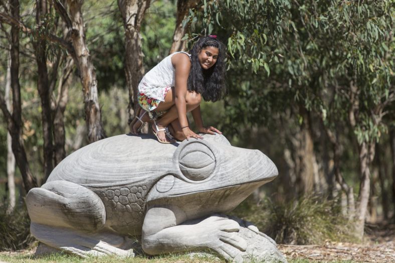 Image of Olympic Frog sculpture