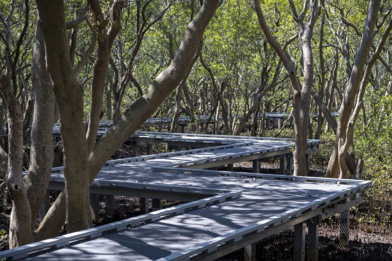 Image of Olympic Poem boardwalk