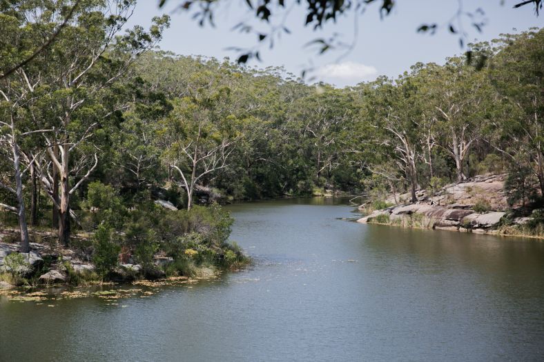 Lake Parramatta Reserve