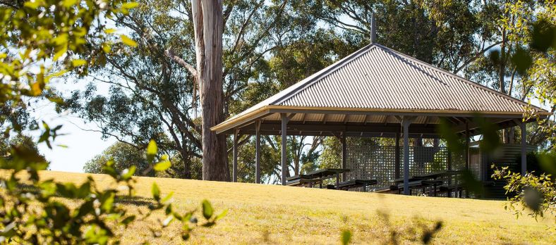 The Bottlebrush Garden at the Australian Botanic Garden