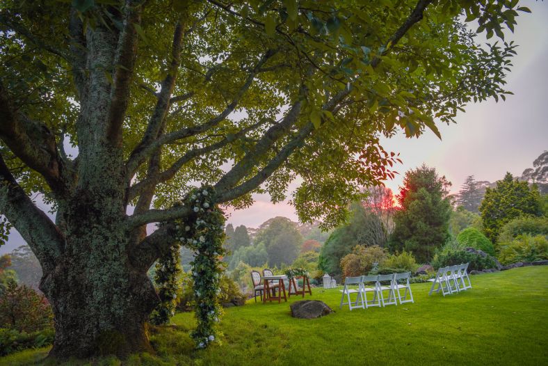 Wedding Tree Terrace at the Blue Mountain Botanic Garden