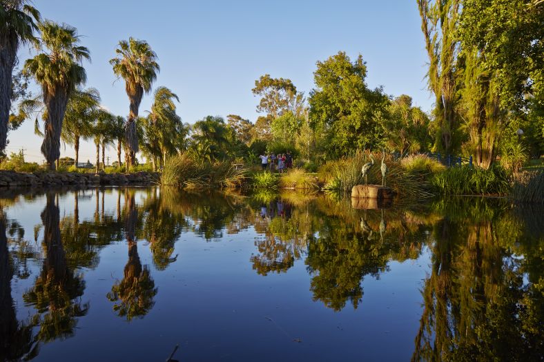 Lake lined with trees