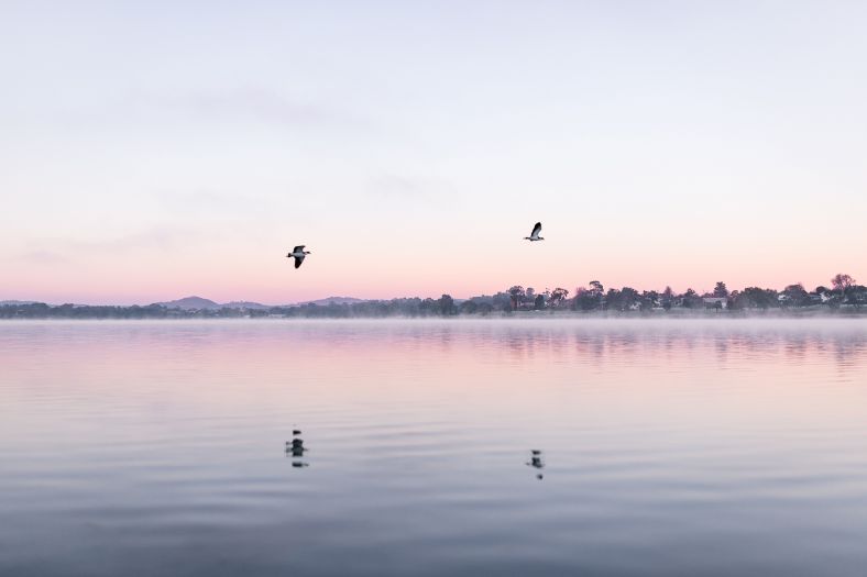 Lake Albert