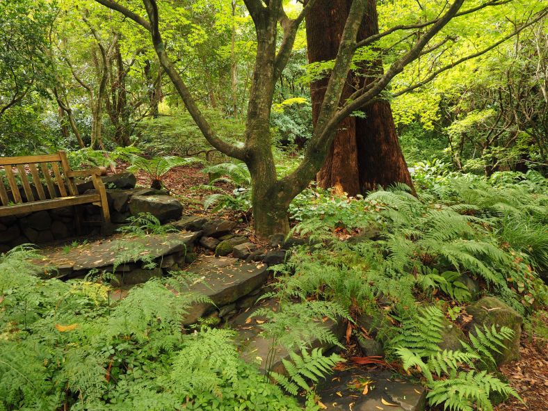 Plant Explorers Walk 