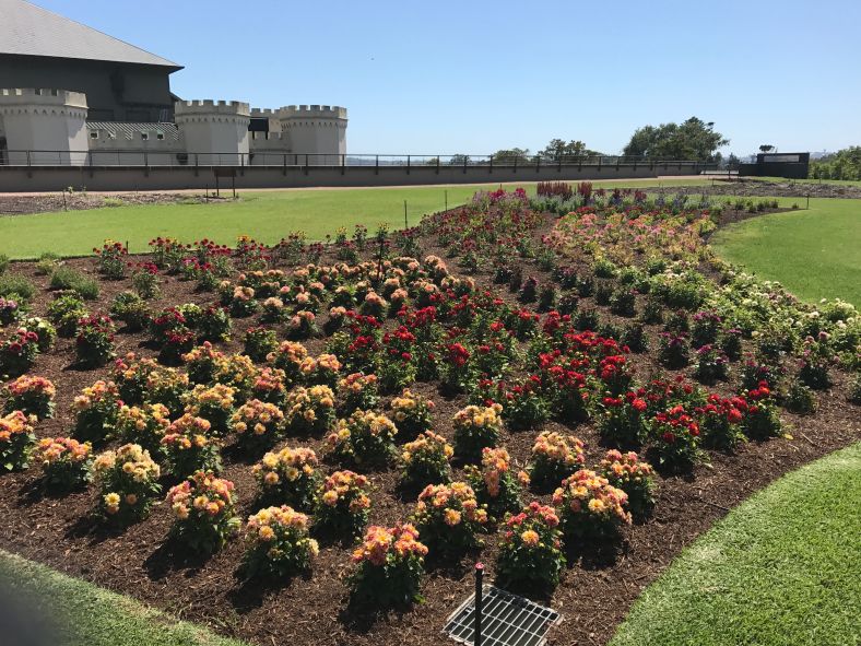 Image of Royal Botanic Trial Garden