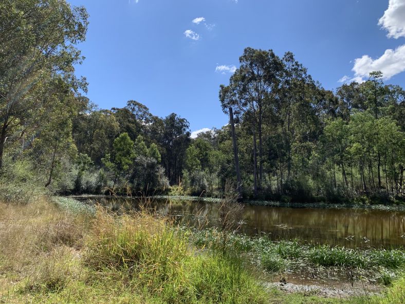 Image of Western Park Double Dams