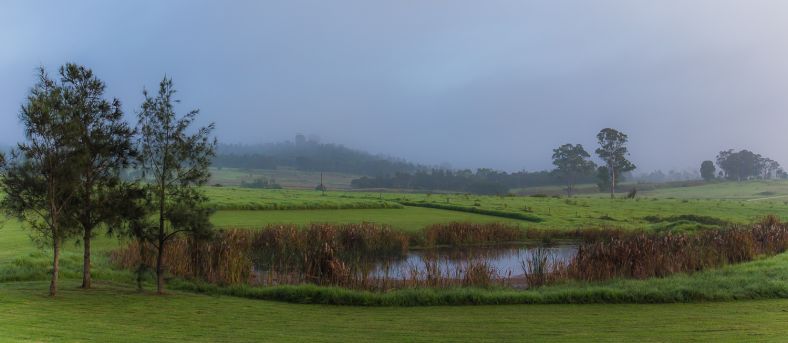 Image of Western Parklands 4