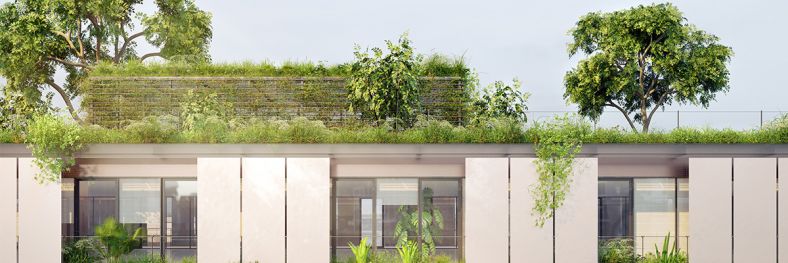 Apartment building with trees and plants on roof