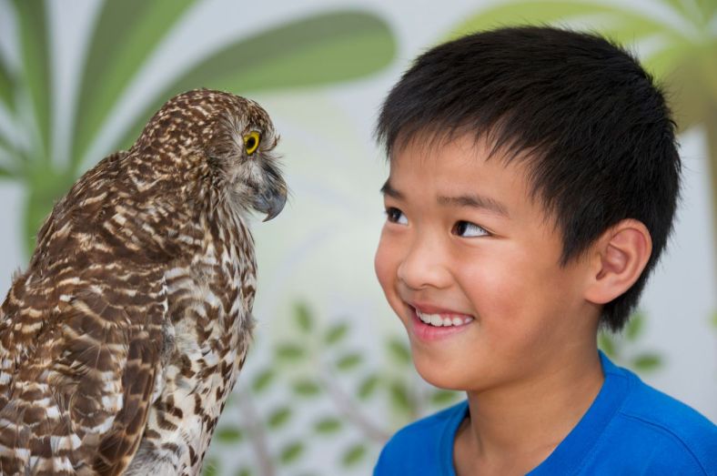 Boy looking at bird