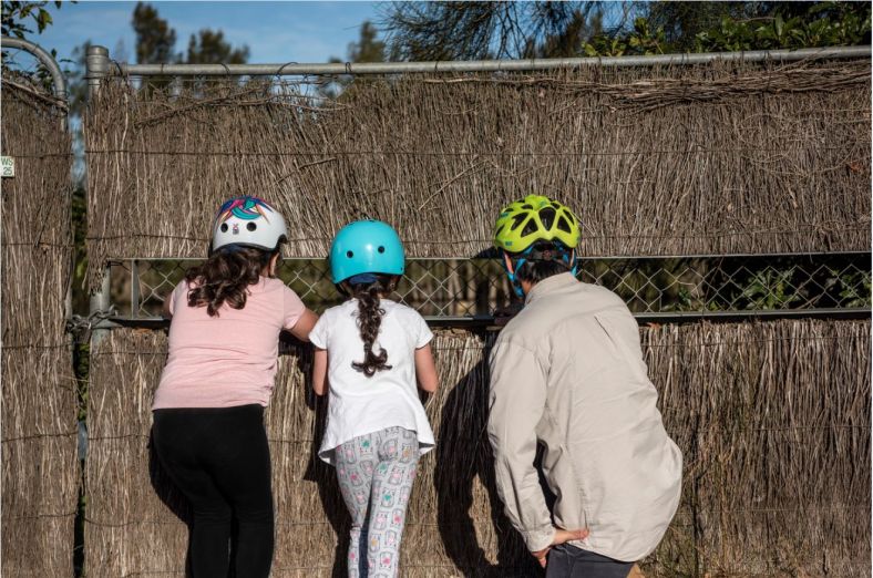 People looking at pond through a fence